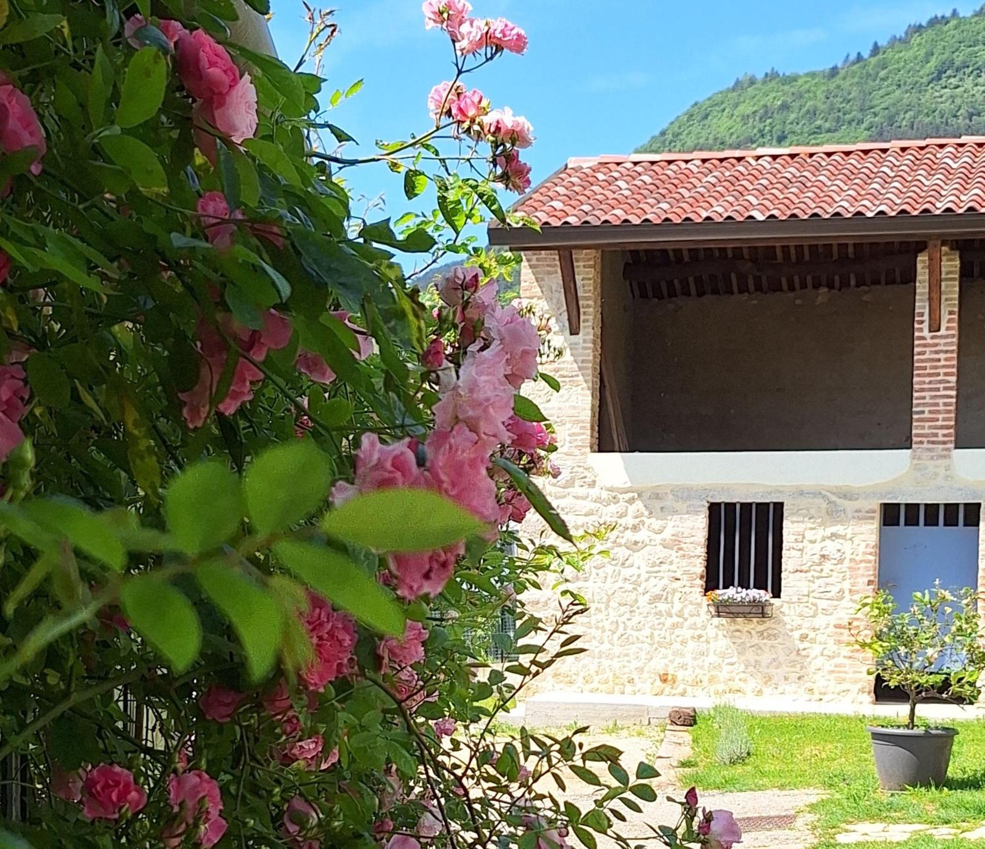 Casa Paola Lejlighed Borso del Grappa Eksteriør billede