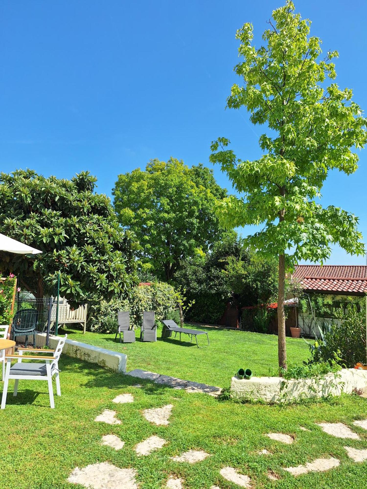 Casa Paola Lejlighed Borso del Grappa Eksteriør billede